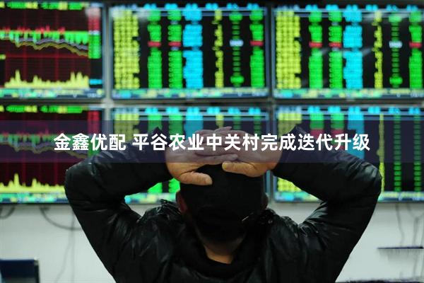 金鑫优配 平谷农业中关村完成迭代升级