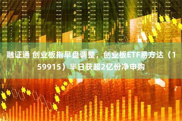 融证通 创业板指早盘调整，创业板ETF易方达（159915）半日获超2亿份净申购