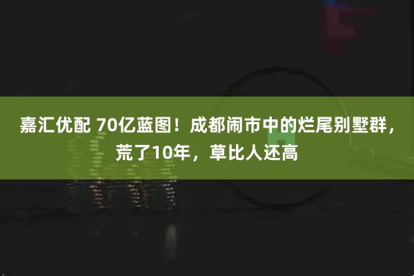 嘉汇优配 70亿蓝图！成都闹市中的烂尾别墅群，荒了10年，草比人还高