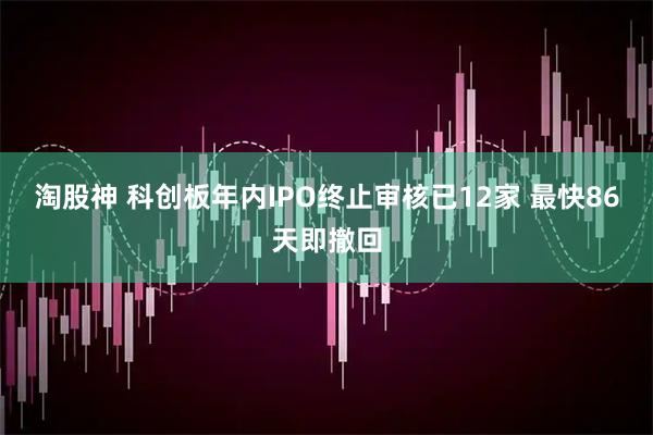 淘股神 科创板年内IPO终止审核已12家 最快86天即撤回