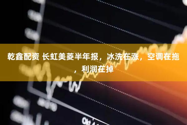 乾鑫配资 长虹美菱半年报，冰洗在涨，空调在拖，利润在掉